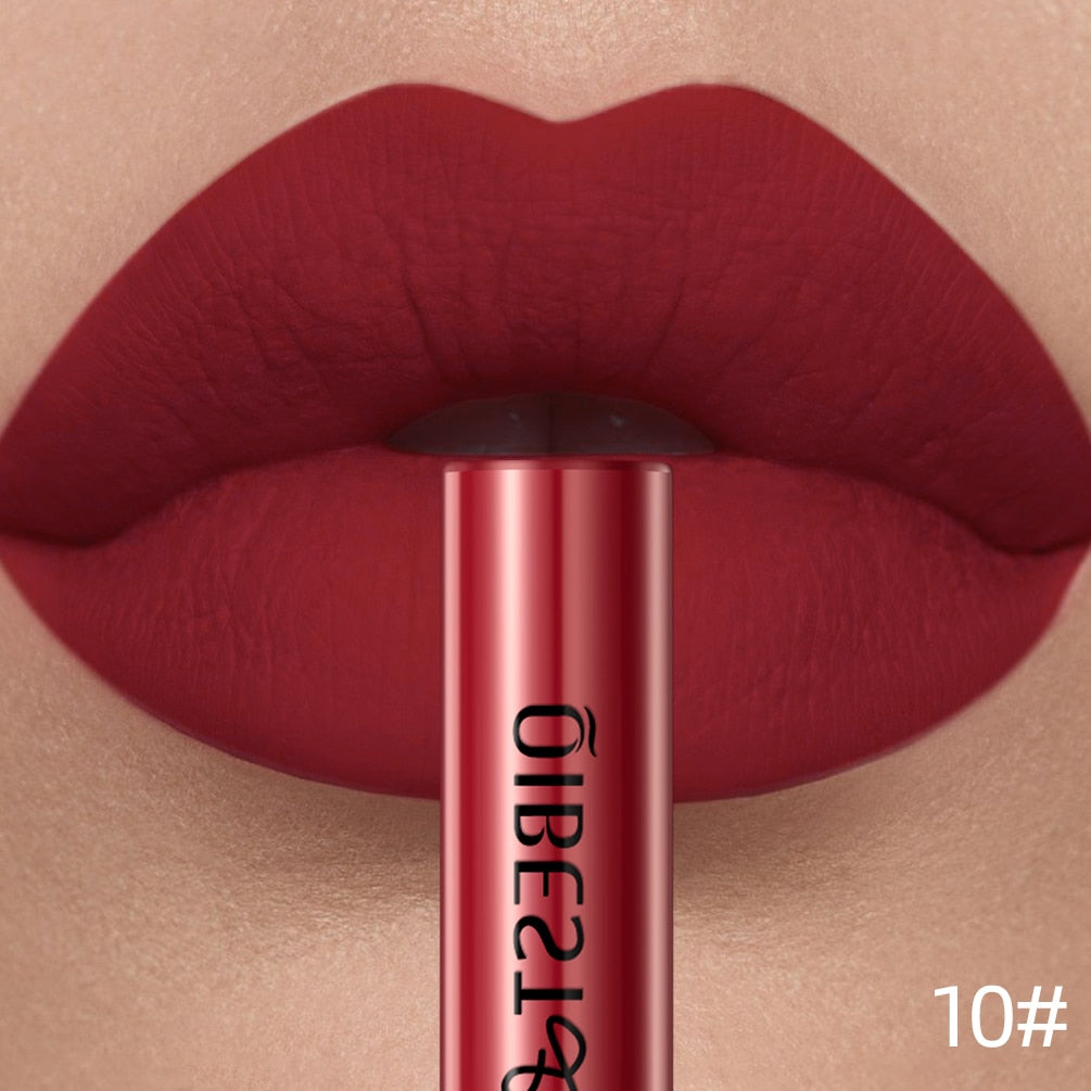 Long Lasting Velvet Matte Lipgloss